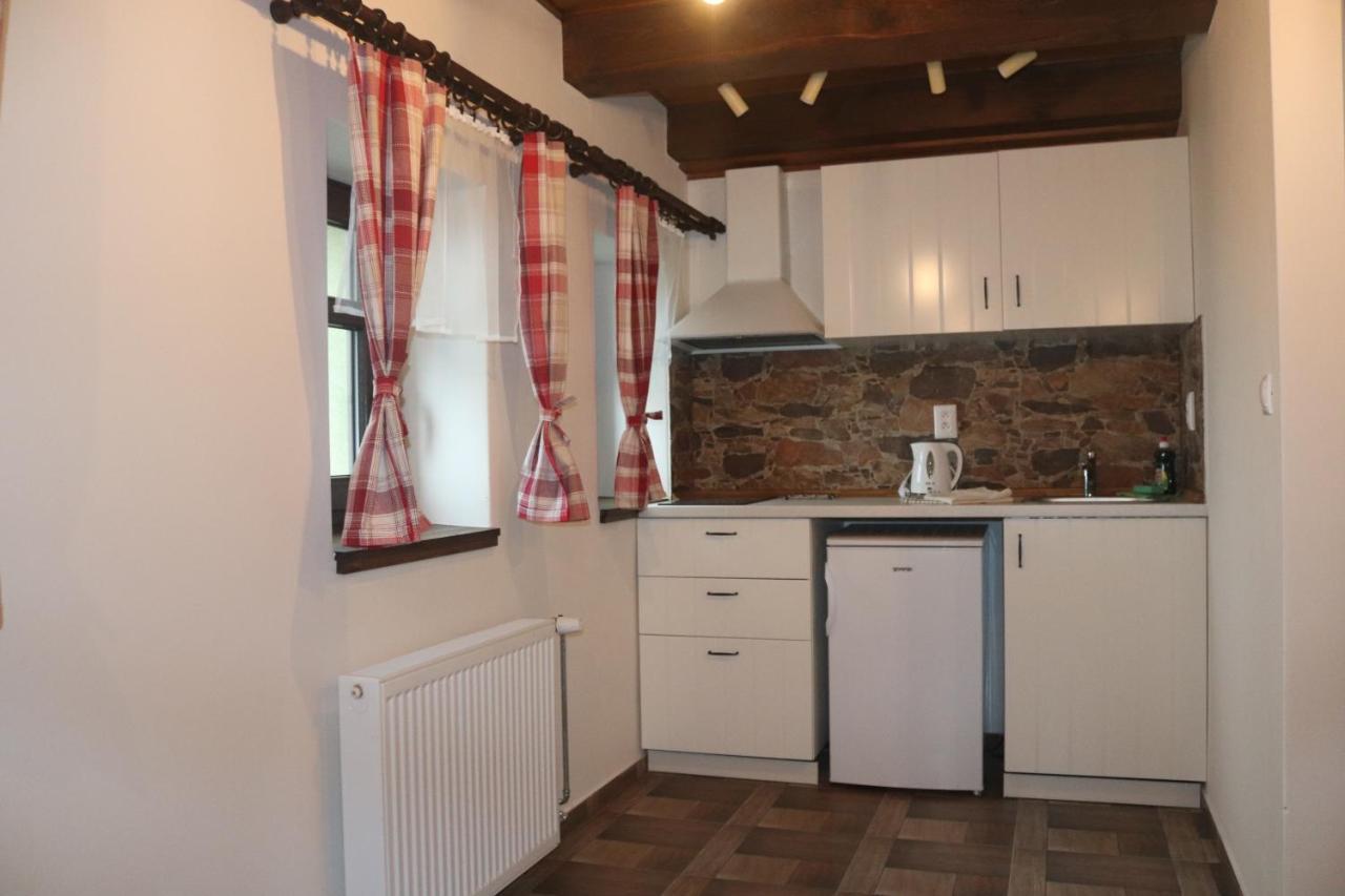 Apartmany Kynast Albrechtice v Jizerskych horach Extérieur photo